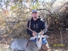 Black Tail Deer