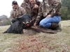 Hog of the Month