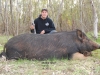 Hog Ranch Record
