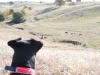 The Ranch